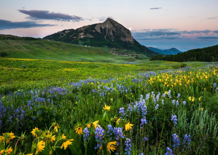 Summer Dreaming in Crested Butte