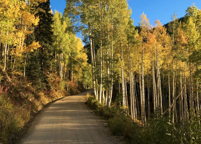 Visit Crested Butte This Fall